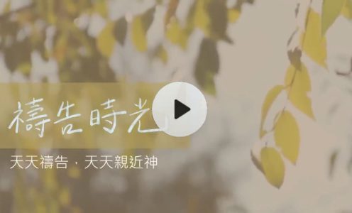 每步都有神带，无惧遭到取代