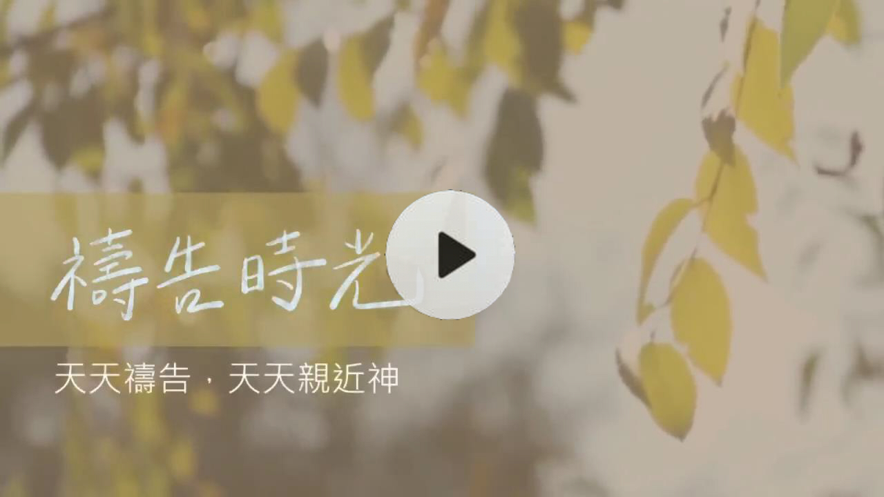 每步都有神带，无惧遭到取代