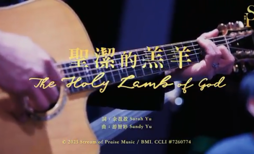 圣洁的羔羊